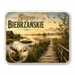 Magnes pamiątkowy Bagna Biebrzańskie