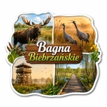 Magnes pamiątkowy z motywem Bagien Biebrzańskich na Podlasiu