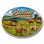 Magnes Bałtów Safari