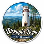 Magnes Biskupia Kopa z panoramą gór i lasów