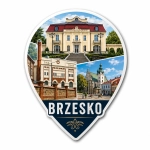 Magnes Brzesko przedstawiający pałac, browar i kościół