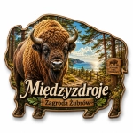 Magnes pamiątkowy Międzyzdroje