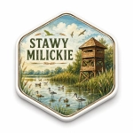 Magnes pamiątkowy Stawy Milickie z widokiem jeziora, ptakami i wieżą obserwacyjną