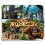 Pamiątkowy magnes Orientarium ZOO Łódź
