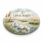 Magnes Park Narodowy Ujście Warty z jeziorem i łabędziami