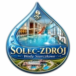 Magnes Solec-Zdrój z motywem basenu i kanału wodnego