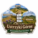 Magnes Ustrzyki Górne – pamiątkowy motyw regionalny
