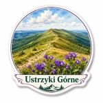 Magnes Ustrzyki Górne przedstawiający szczyt górski i kwiaty