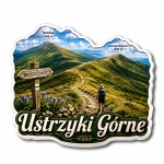 Magnes Ustrzyki Górne z widokiem na krajobraz górski