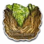 Magnes pamiątkowy Wąwóz Królowej Jadwigi