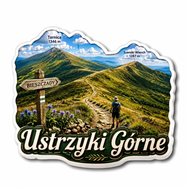 Magnes Ustrzyki Górne z widokiem na krajobraz górski